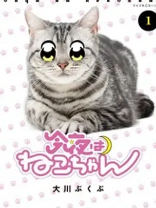 【漫画更新】: 1-今夜是猫咪酱已更新 – 免费阅读